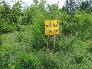 ขายที่ดิน 16 ไร่ ติดถนน 4 เลน บ้านโพธิ์-แปลงยาว (สาย 3304)