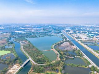 ขายที่สีม่วง 45 ไร่เศษ ติดถนนใหญ่รถเทรลเลอร์วิ่งสะดวก