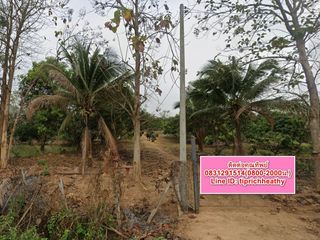 ที่ดินเปล่า ลำไยร้อยกว่าต้น มีต้นสักล้อมรอบ ใกล้สวนอริยา เนื