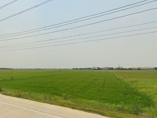 ที่ดิน146ไร่ พื้นที่สีม่วง หน้ากว้าง 252ม. อ.อุทัย อยุธยา