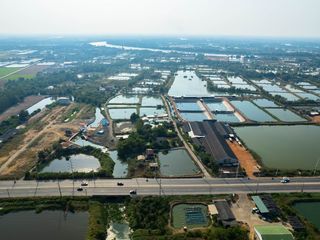 ขายที่ดินติดคลอง ถมแล้ว 117 ตรว. ต.คลองนา อ.เมือง