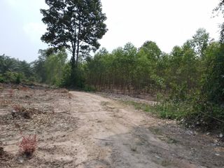 ขายที่ดินอำเภอเมืองสระแก้ว โฉนดครุฑแดง โทร0819103745 ราคาถูก