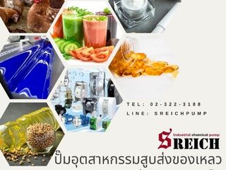 เอส ไรคส์ นำเข้าปั๊มเคมีจากยุโรปแท้ 100 เปอร์เซนต์