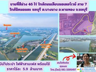 ขายที่สีม่วง 46 ไร่ ใกล้ถนนเลียบมอเตอร์เวย์ สาย 7 ใกล้นิคม