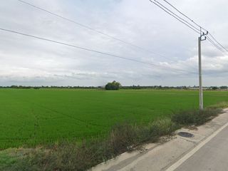 ขายที่ดิน93ไร่ พื้นที่สีม่วงเข้ม หน้ากว้าง 162ม. อ.ไทรน้อย