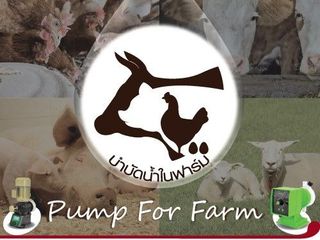 การปรับสภาพน้ำในฟาร์ม จ่ายสารละลาย เติมคลอรีน เติมวิตามิน ด้