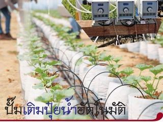 พ่นปุ๋ยน้ำ กระจายปุ๋ยพร้อมน้ำเลี้ยงได้อย่างทั่วถึง และประหยั