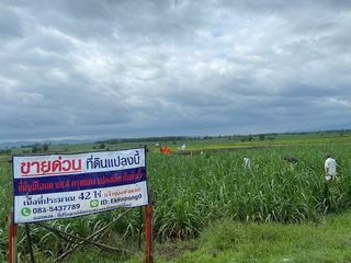 ด่วน ขายที่ดินแม่สอด-ห้วยกระโหลก จำนวน 42 ไร่ (ที่ดินมีโฉนด