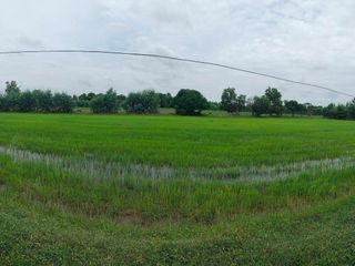ขายด่วน ที่นา 33 ไร่ สุวรรณภูมิ ร้อยเอ็ด