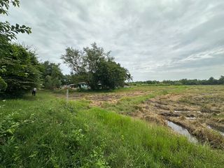 ขายที่ดิน เนื้อที่ 4ไร่ ต.เกาะพลับพลา อ.เมือง จ.ราชบุรี