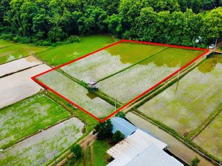 ขายที่ดิน ปัว น่าน 707 ตร.ว. ราคา 1.9 ล้าน