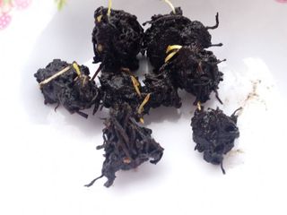 เหง้าบัวแดง