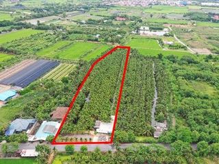 ขายที่ดินพร้อมสวนมะพร้าว บางใหญ่ นนทบุรี เนื้อที่ 7 ไร่