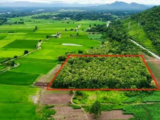 ขายด่วน ที่ดิน จ.ตาก มีต้นสัก 1000 กว่าต้น