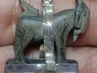 แพะเขาควายเผือก วัดหนองกระบอก