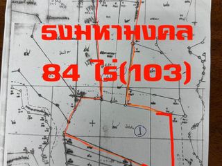 ที่นา 84ไร่ข้างวัดน้ำทรง พยุหะคีรี นครสวรรค์