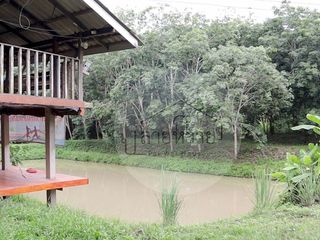 ขายที่ดิน จังหวัดน่านใกล้สนามบิน 1 กม. พื้นที่ 25 ไร่