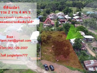 ขายที่ดิน จังหวัดน่าน เนื้อที่ 2 งาน 4 ตร.ว.