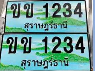 ขายป้ายประมูล ขข 1234 สุราษฎร์ธานี สวยความหมายดี