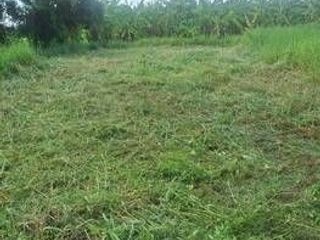 ขายด่วน ที่ดินเปล่าถมเล้ว ติดถนนสาธารณะ หลังมหาวิทยาลัย