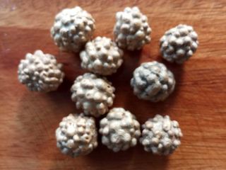 กลิ้งกลางดง