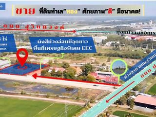 ขายที่ดิน แปลงสวย ทำเลทองในพื้นที่เศรษฐกิจพิเศษ EEC ปองพล คล