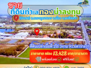 ขายที่ดินฉะเชิงเทรา ที่ดินผังสีม่วงทำเลศักยภาพใกล้สุวรรณภูมิ