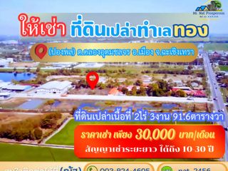 ให้เช่าที่ดินราคาถูก สัญญาเช่าระยะยาว10-30ปี ที่ดินผังสีม่วง