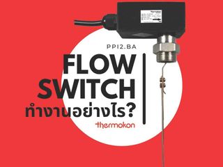 จำหน่าย Flow Switch (PPI2.BA) ยี่ห้อ Thermokon