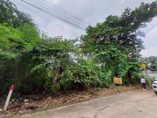 Vายต่ำกว่าประเมิน ที่ดินเพชรเกษม 84 ตารางวา ติดถนนคอนกรีต