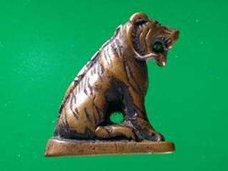 5554 เสือหล่อมหาอำนาจ หลวงพ่อเล็ก วัดสันติคีรีบรมธาตุ ก้นยัน