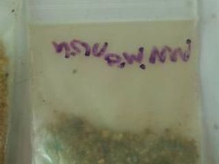 5340 ทรายเสกหลวงพ่อแพ เขมังกโร วัดพิกุลทอง