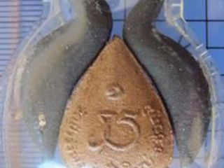 4977 ผงใบโพธิ์ สารีกาคู่ พระอาจารย์สุข สุชีโว วัดป่าวังพง อ.