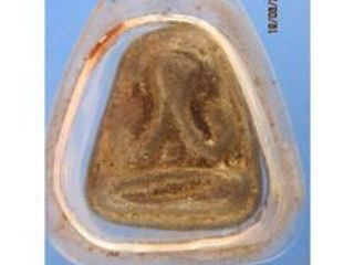 - พระปิดตาหลวงปู่ เฮี้ยง วัดป่า เนื้อชินตะกั่ว หลังจาร ราวปี