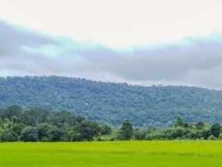 ขายที่ดินวิวเขาสวยที่สุด......ใกล้ถนนลาดยางชุมชน