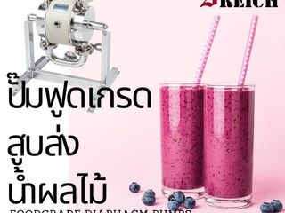 Pump Food grade pump ปั๊มสแตนเลสฟู้ดเกรด ปั๊มสวีเดน Sanitary