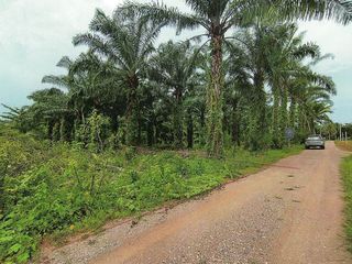 ขายที่ดินเปล่าในเมืองชุมพร เนื้อที่ 7 ไร่ใกล้ทางหลวง