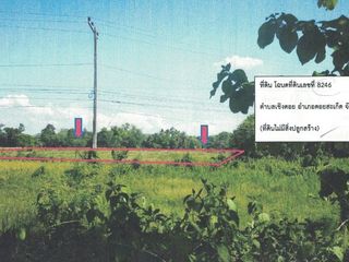 ที่ดินเชียงใหม่ ดอยสะเก็ด ทำเลทอง ติดถนนใหญ่