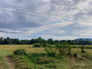 ที่ดินเชียงใหม่ ดอยสะเก็ด ติดถนนใหญ่ทำเลดี เจ้าของขายเอง