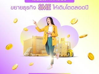 สินเชื่อsme