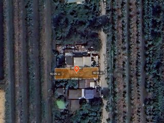 Vายด่วนที่ดินคลองแปด 100 ตารางวา ติดถนนคอนกรีตสาธารณะ