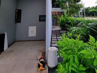 P564 ให้เช่าทาวน์เฮ้าส์ 2 ชั้น โครงการ พลีโน่ พหลโยธิน