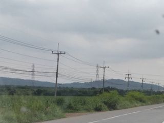 ขายที่สีม่วง 4,5,6 ไร่ ต.บางนาง ต.บ้านเก่า ต.พานทอง จ.ชลบุร