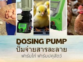 ปลอดภัยและแม่นยำ สูบจ่ายสารเคมีอันตรายด้วยปั๊มเคมีจากประเทศอ