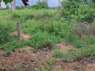 ขายที่ถมแล้ว ขายถูก ใกล้ถนนทางหลวง 3025