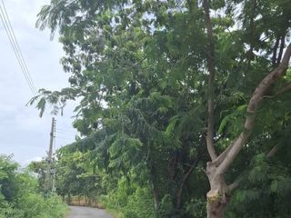 ขายที่ดินถมแล้วบางส่วน ติดถนนสาธารณะ 2 ด้าน ต.แกลง อ.เมือง