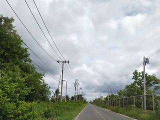 ขายที่สีม่วง 32 ไร่ ต.คลองนิยมยาตรา อ.บางบ่อ จ.สมุทรปราการ