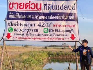 ด่วน ขายที่ดินแม่สอด-ห้วยกระโหลก จังหวัดตาก จำนวน 42 ไร่