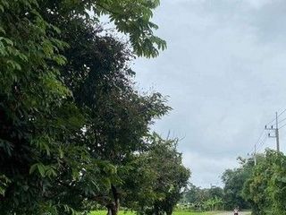 ที่ดินเปล่า วิวสวย บรรยากาศดี ธรรมชาติ แม่ริม