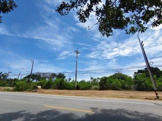 ขายที่ดินพัทยา 31 ไร่ 2 ตรว. ต.หนองปรือ อ.บางละมุง จ.ชลบุรี
